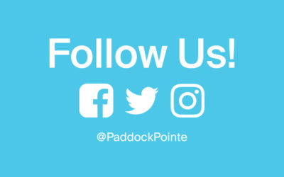 Follow Paddock Pointe on Social